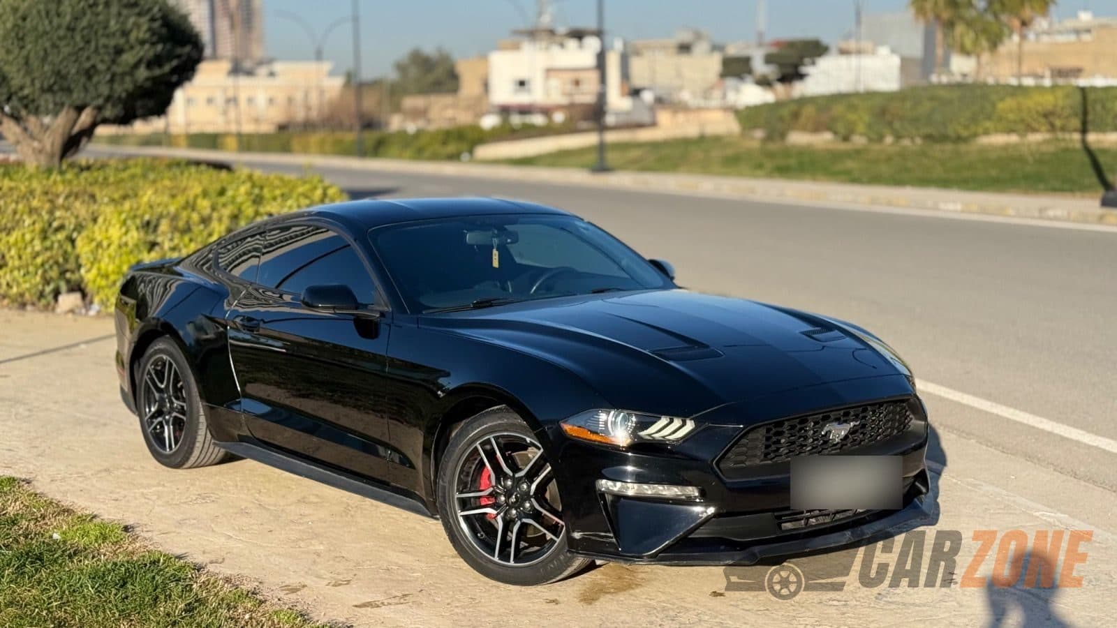 2019 فورد موستانج EcoBoost thumbnail 2