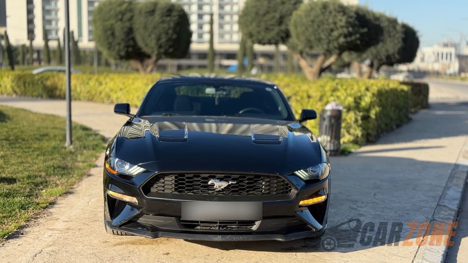 2019 فورد موستانج EcoBoost thumbnail 6